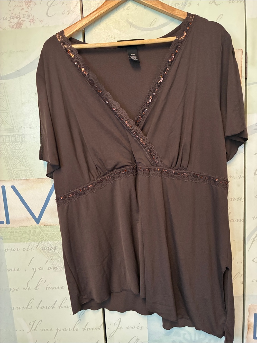 Venezia Women’s Brown Embellished V-Neck Top SZ 18/20